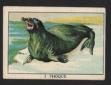 Chromo Bon-Point TISANE DES CHARTREUX DE DURBON animaux n.2 : LE PHOQUE