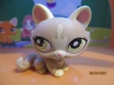 Petshop chat sphynx 1370 - chat,