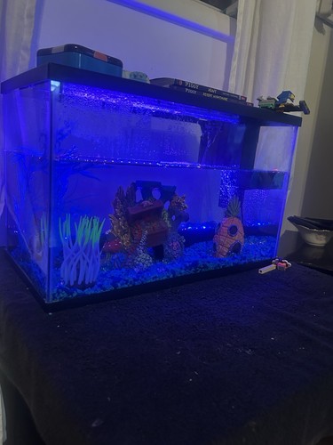 Fish tank gl - fish,