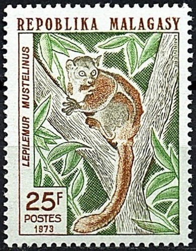Madagascar poste 537 - madagascar,