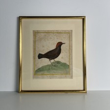 Gravure par Martinet, Histoire