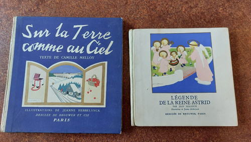 Vol sur terre comme - terre,