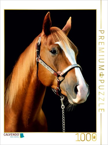 Calvendo puzzle american - calvendo,