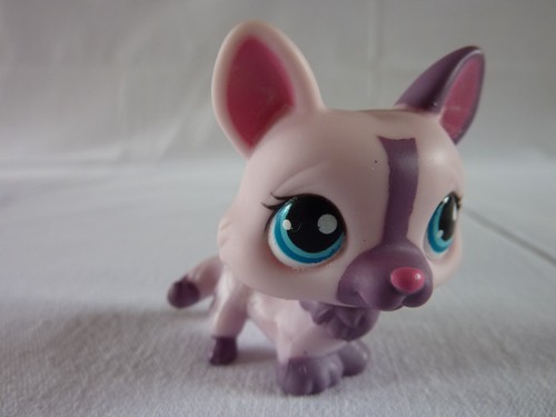 Petshop lps littlest - lps,