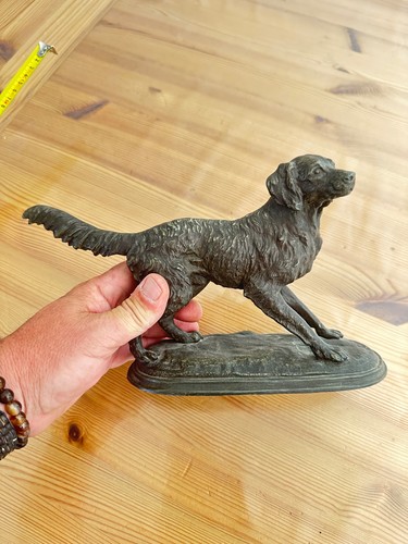 Chien chasse régule - chien,
