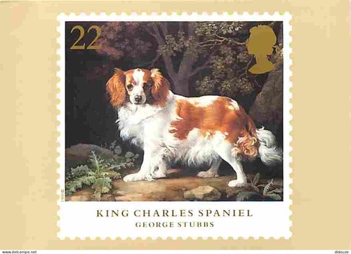 Carte postale animaux - postale,