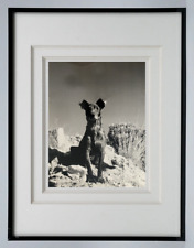 MARCEL COEN (1918-2008) PHOTOGRAPH LE CHIEN DU SHEPHERD 1958 (8)