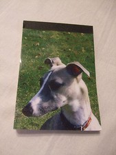Carnet aimanté à feuilles détachables - WHIPPET