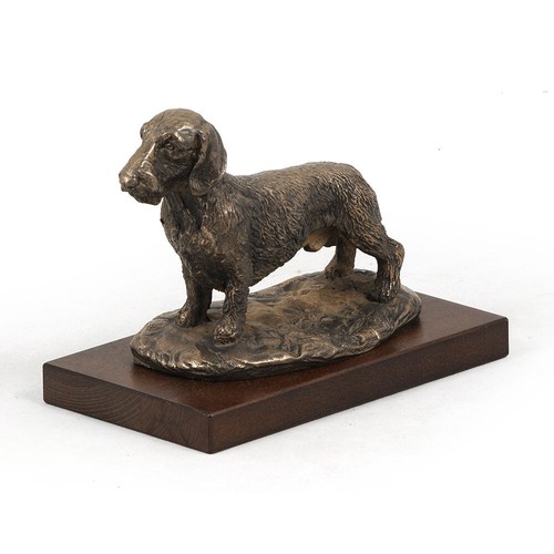 Teckel poil dur figurine - à,