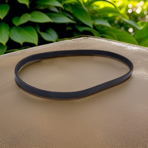 Ceinture entraînement de - ceinture, d'entraînement