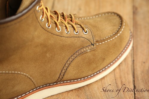 Redwing red wing - redwing,