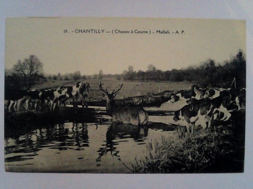 Cpa chantilly chasse à - chantilly,