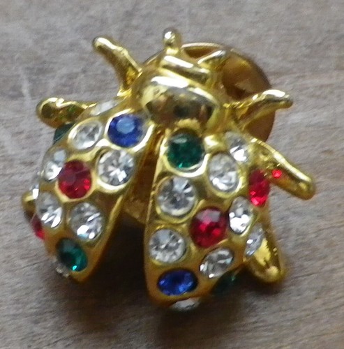 Broche pins coccinelle couleur - pins,