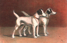 Old postcard dogs - Jack Russell