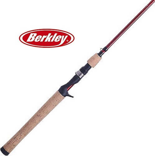 Canne pêche berkley - canne,