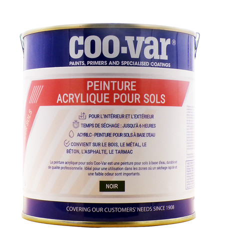 Coo var peinture acrylique - peinture,