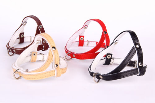 Cuir véritable chien harnais - véritable,