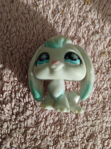 Petshop lapin bunny - bunny, belier