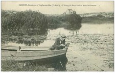 62 . n°41024 . camiers. l