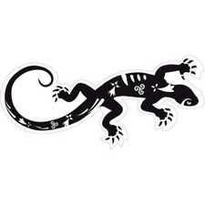 Salamandre breton triskèle symbole détail bretagne breizh transparent autocollan