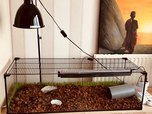 Terrarium 100x30x40 verre - terrarium, en