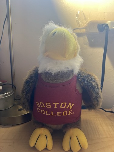 Boston college chelsea teddy - chelsea,