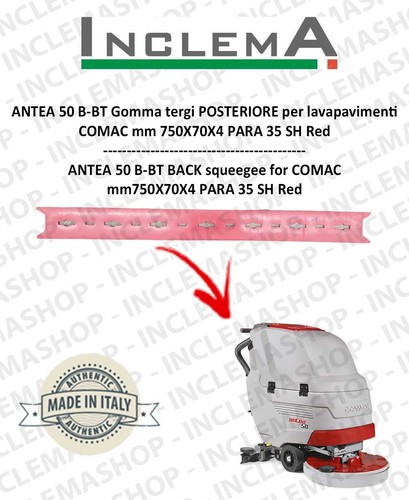 Antea gomma tergi - antea, b-bt