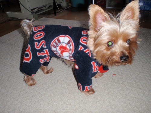 Boston red sox fleece - red,