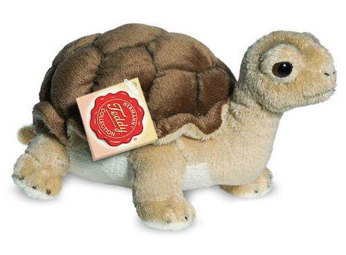 Tortoise peluche lavable - tortoise,