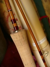 Canne à lancer pêche Bambou