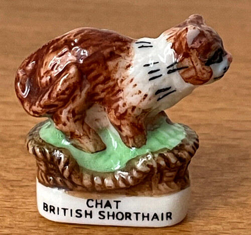 Fève chat british shorthair - chat,