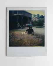 Chiens homme garage bois