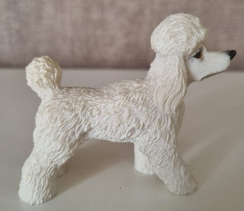 Caniche blanc résine - blanc, 8