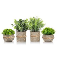 4 Pièces Plantes