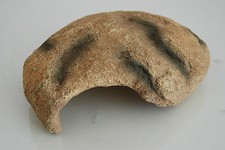 Aquarium Détaillé Cichlidés