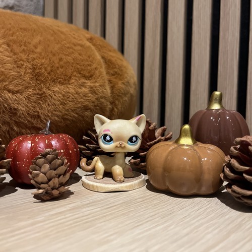 Lps littlest petshop pet - petshop,