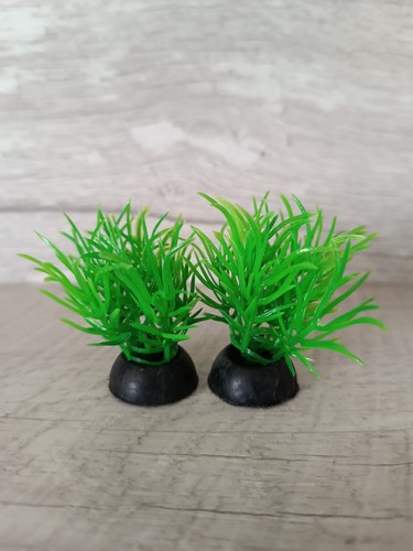 Lot plantes plastique - lot,