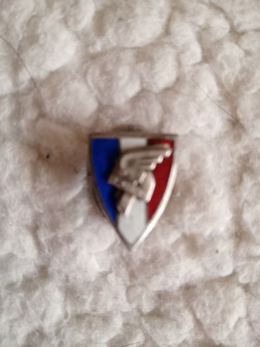 Insigne vichy boutonnière - insigne,