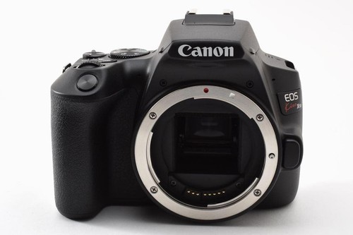 Appareil photo canon eos - photo,