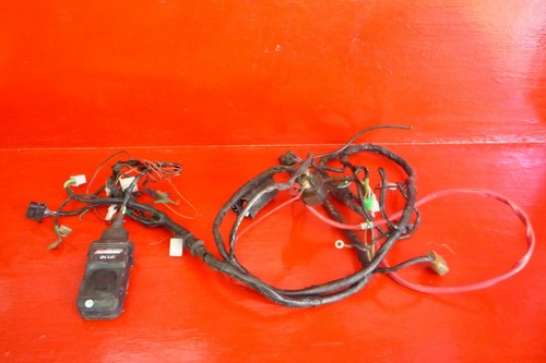 Système électrique treccia - Électrique,