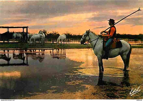 Carte postale animaux - carte,