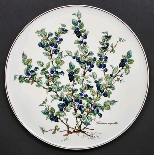 Rare sublime grand dessous - sublime,