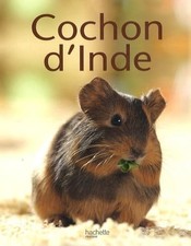 Cochon d'Inde - Giel, Olivier