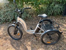 tricycle adulte electrique