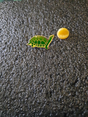 Pin tortue turtle - pin's, reptile