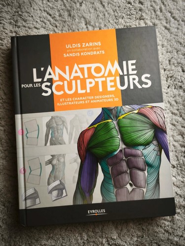 Anatomie pour les sculpteurs - l'anatomie,