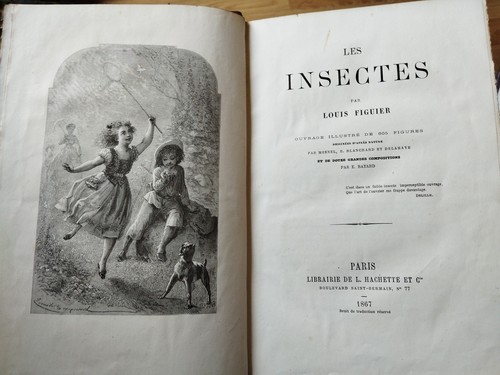 Les insectes louis - insectes,,