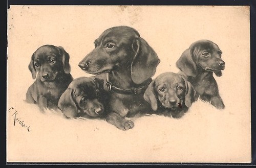 Carte postale artiste - postale, carl