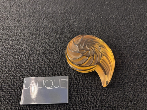 Coquillage nautile ambre - , en
