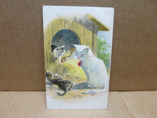Chat carte illustrée - illustrée, famille